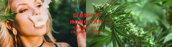 молекула духа Богородск