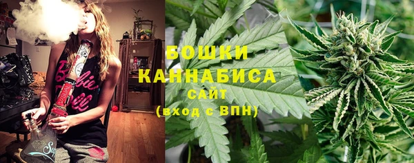молекула духа Богородск