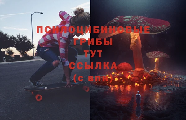 ПСИЛОЦИБИНОВЫЕ ГРИБЫ Богородицк