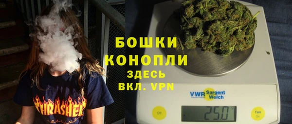 молекула духа Богородск